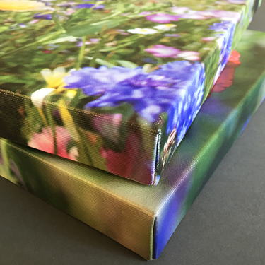 Photograph of printed canvases